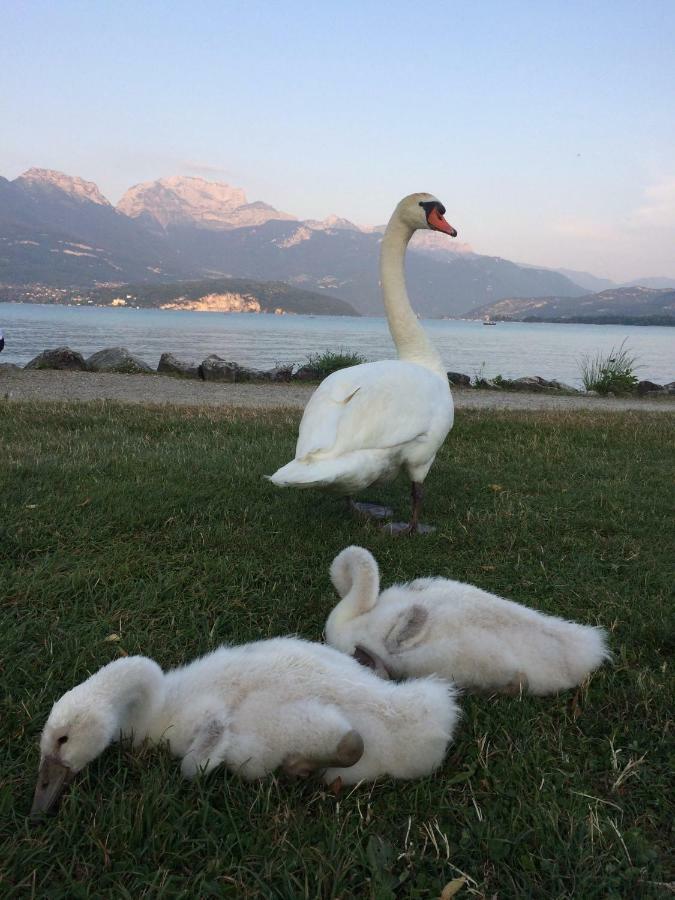 La Baie Des Voiles ,Vue Lac D'Annecy ,Plage Privee Duingt Εξωτερικό φωτογραφία